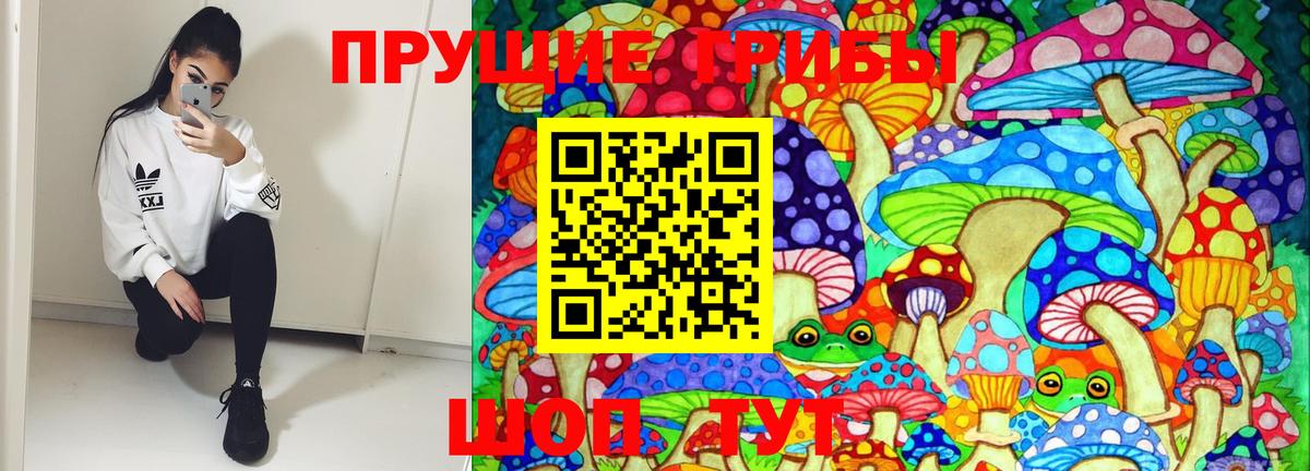Железноводск  Псилоцибиновые грибы мицелий  Псилоцибиновые грибы Psilocybine cubensis  дарнет шоп  Вход с VPN 